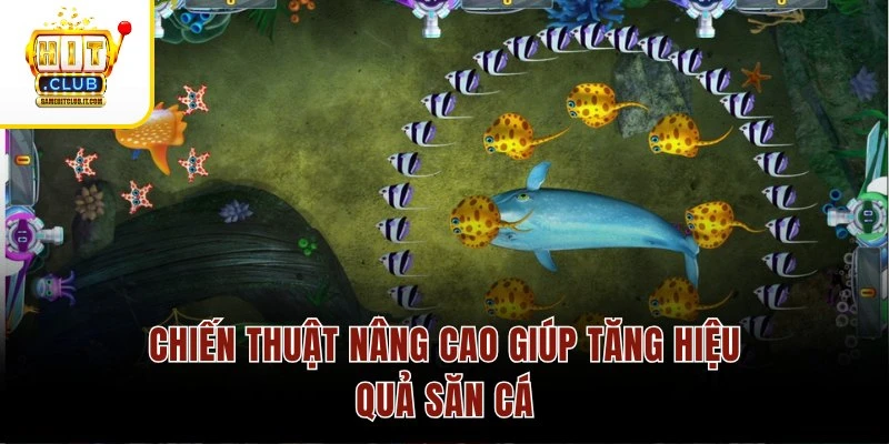 Chiến thuật nâng cao giúp tăng hiệu quả săn cá